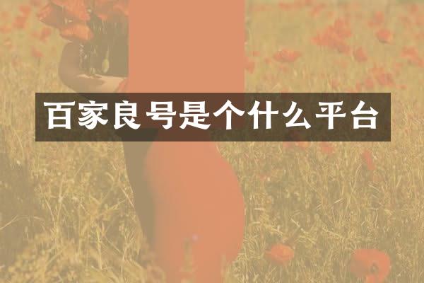 百家良号是个什么平台