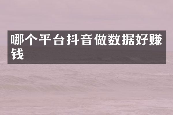 哪个平台抖音做数据好赚钱