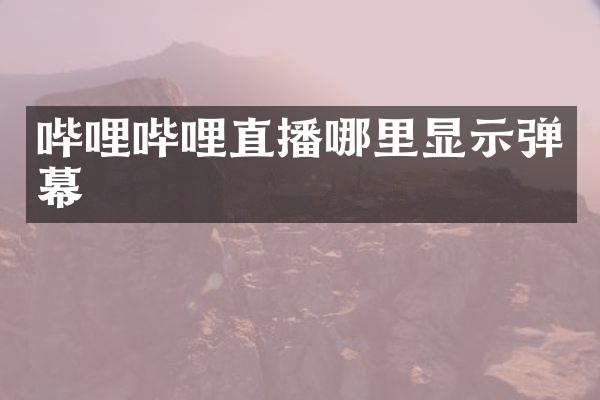 哔哩哔哩直播哪里显示弹幕