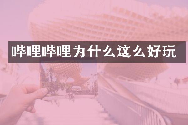 哔哩哔哩为什么这么好玩
