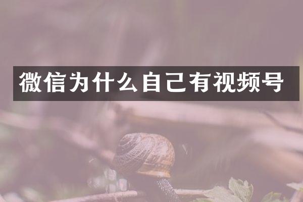 微信为什么自己有视频号