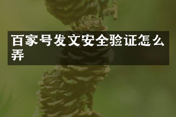 百家号发文安全验证怎么弄