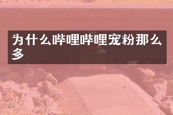 为什么哔哩哔哩宠粉那么多