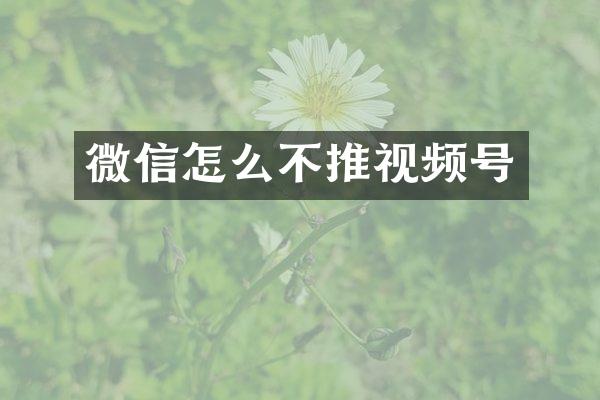 微信怎么不推视频号