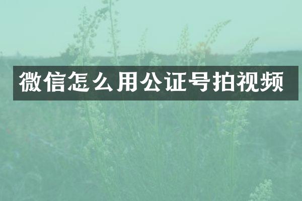 微信怎么用公证号拍视频