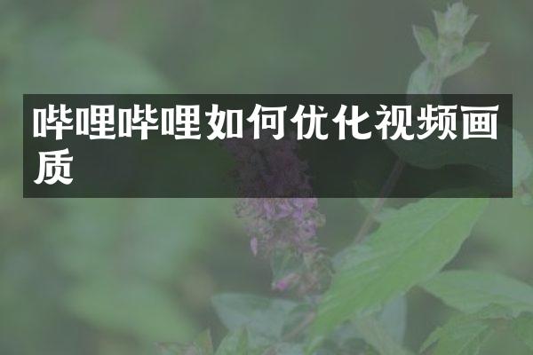 哔哩哔哩如何优化视频画质