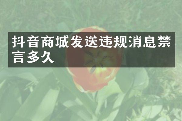 抖音商城发送违规消息禁言多久