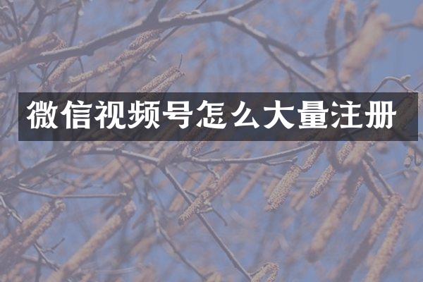 微信视频号怎么大量注册