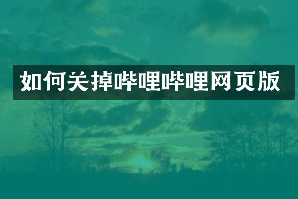 如何关掉哔哩哔哩网页版