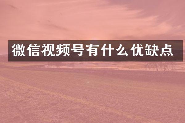 微信视频号有什么优缺点