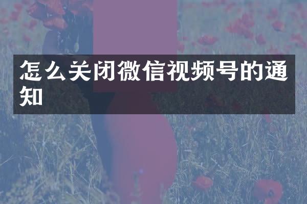 怎么关闭微信视频号的通知