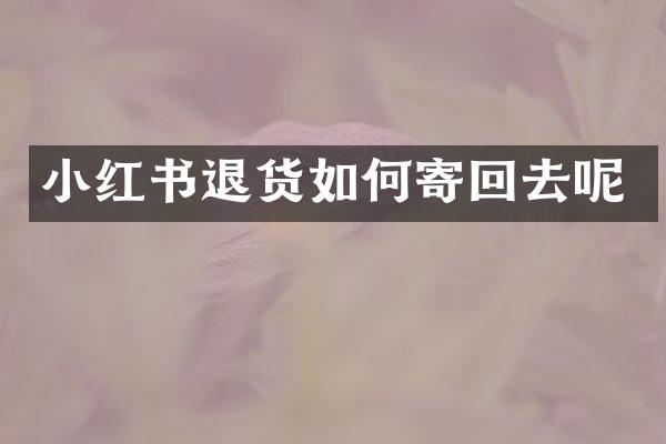 小红书退货如何寄回去呢