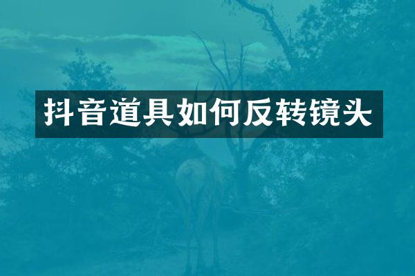 抖音道具如何反转镜头