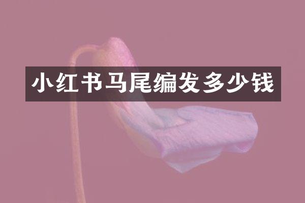 小红书马尾编发多少钱
