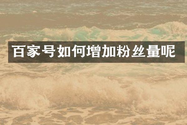 百家号如何增加粉丝量呢