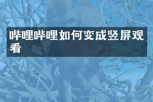 哔哩哔哩如何变成竖屏观看