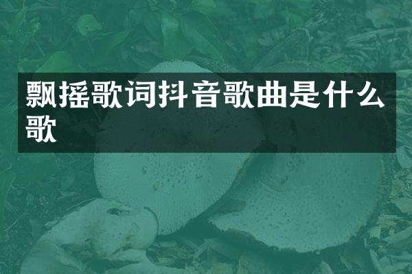 飘摇歌词抖音歌曲是什么歌