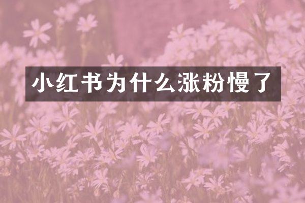 小红书为什么涨粉慢了