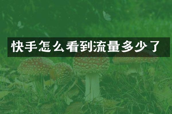 快手怎么看到流量多少了