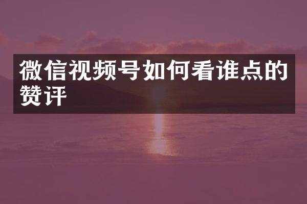 微信视频号如何看谁点的赞评