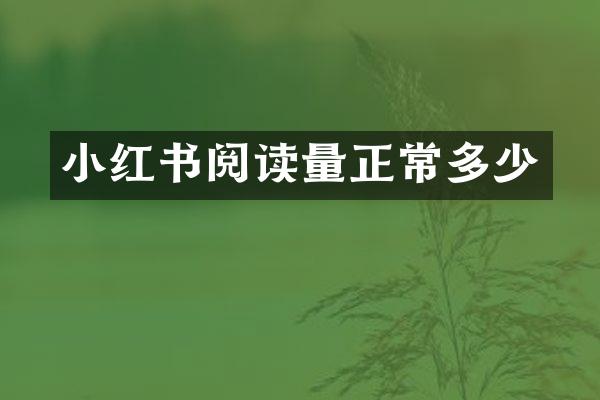 小红书阅读量正常多少