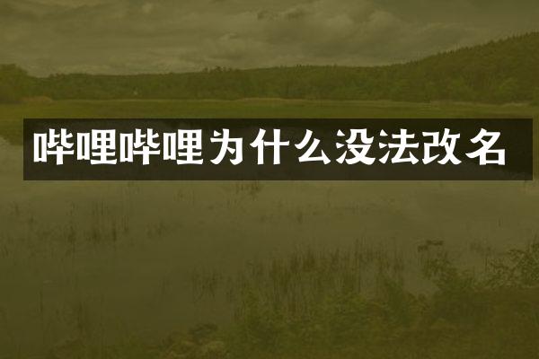 哔哩哔哩为什么没法改名