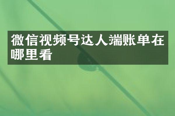 微信视频号达人端账单在哪里看