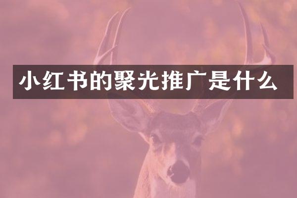 小红书的聚光推广是什么