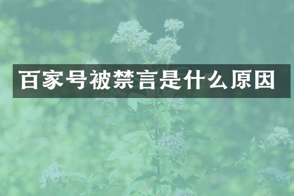 百家号被禁言是什么原因