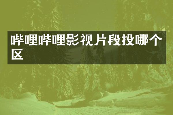 哔哩哔哩影视片段投哪个区