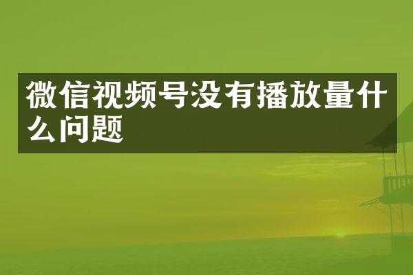 微信视频号没有播放量什么问题