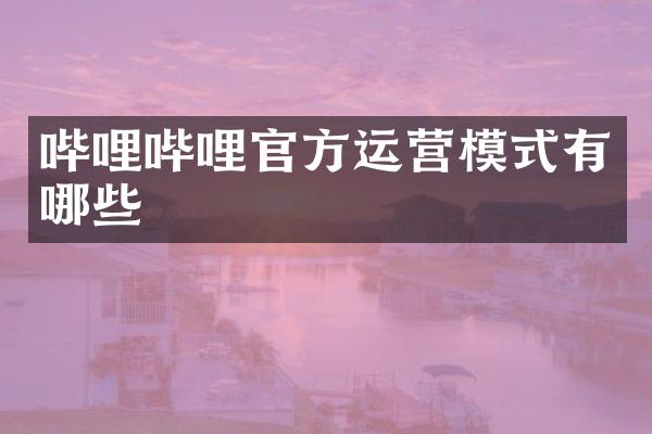 哔哩哔哩官方运营模式有哪些