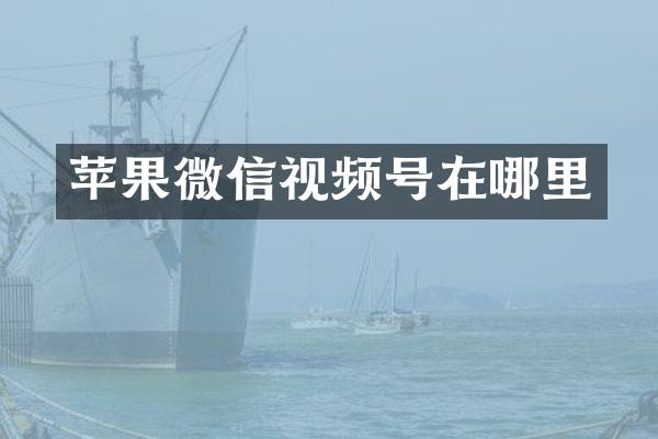 苹果微信视频号在哪里