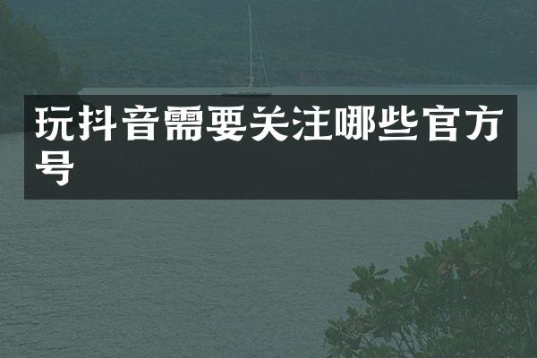 玩抖音需要关注哪些官方号