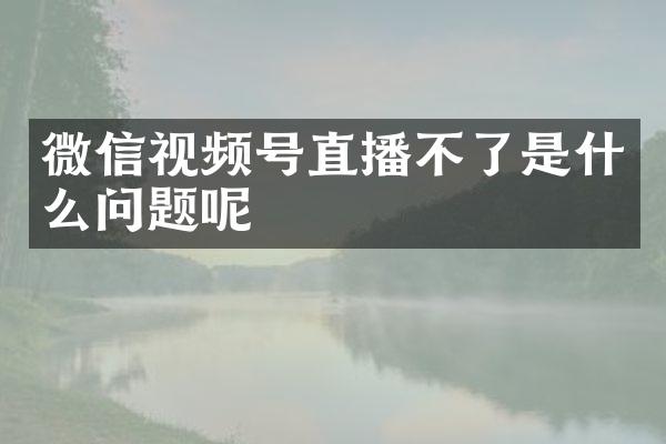 微信视频号直播不了是什么问题呢