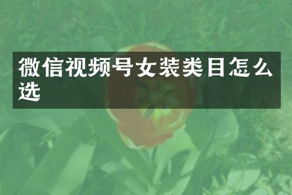 微信视频号女装类目怎么选