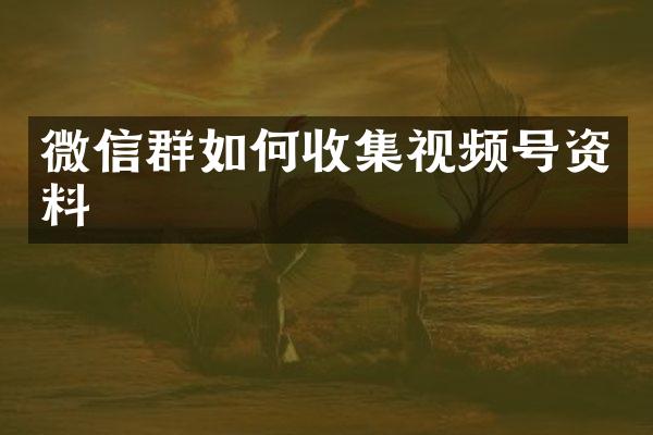 微信群如何收集视频号资料