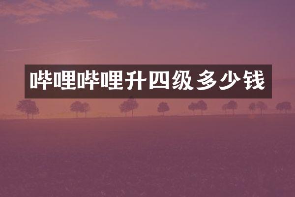 哔哩哔哩升四级多少钱