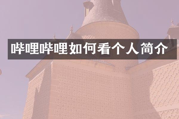 哔哩哔哩如何看个人简介