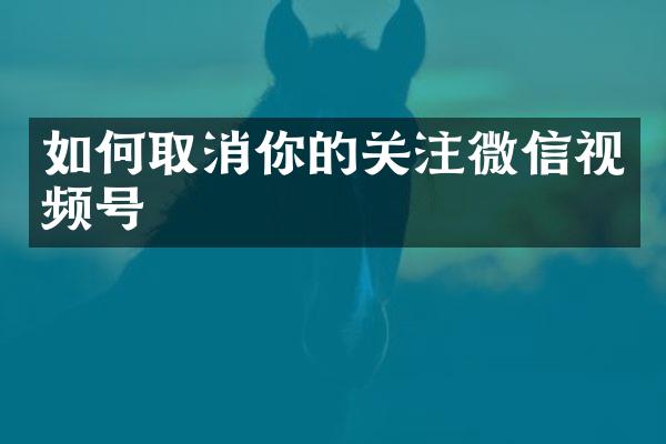 如何取消你的关注微信视频号