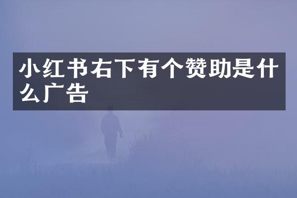 小红书右下有个赞助是什么广告