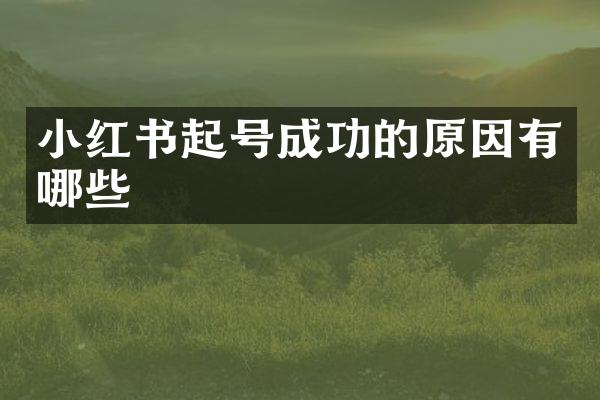 小红书起号成功的原因有哪些