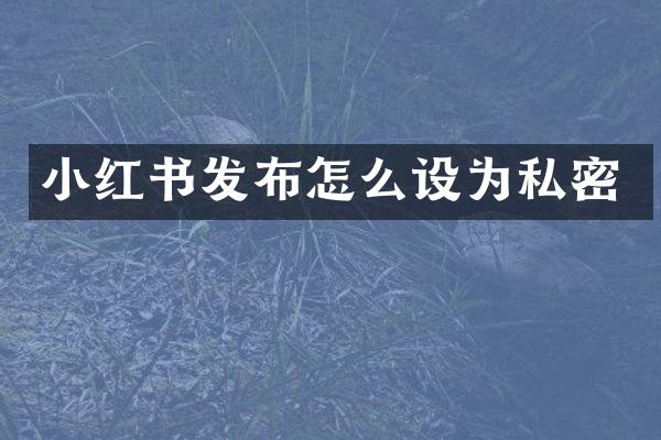 小红书发布怎么设为私密