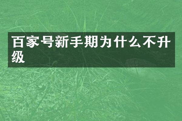 百家号新手期为什么不升级