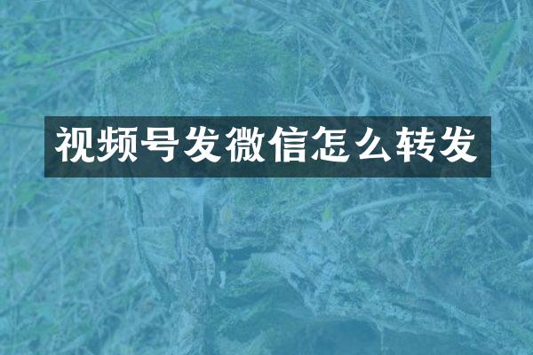 视频号发微信怎么转发