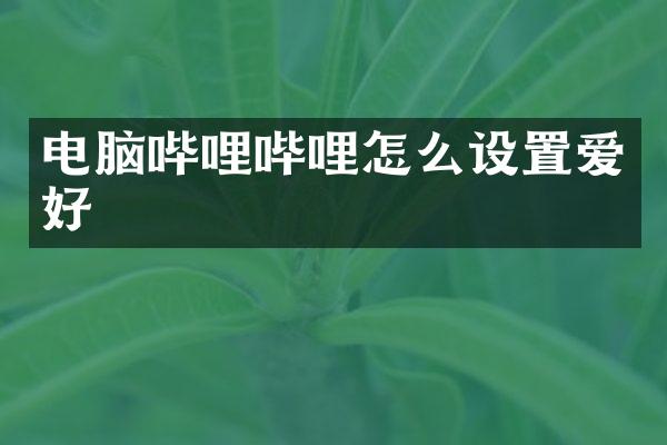 电脑哔哩哔哩怎么设置爱好