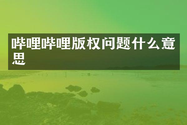 哔哩哔哩版权问题什么意思