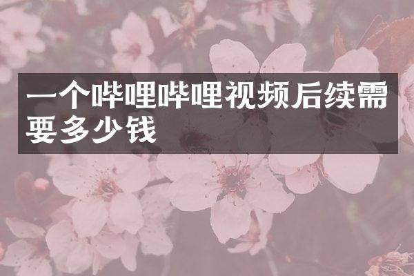 一个哔哩哔哩视频后续需要多少钱