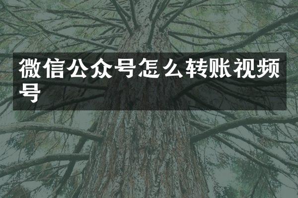 微信公众号怎么转账视频号