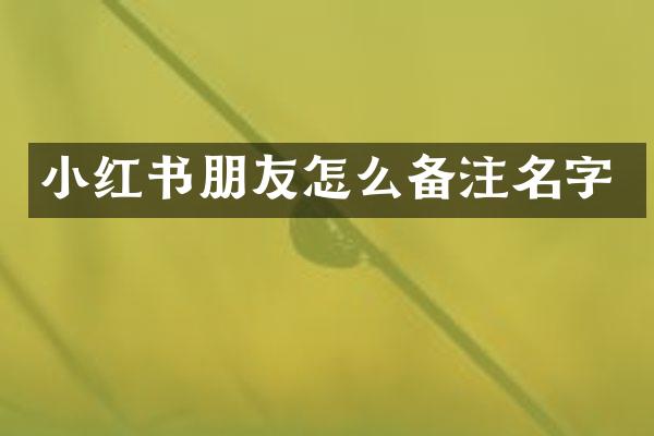 小红书朋友怎么备注名字